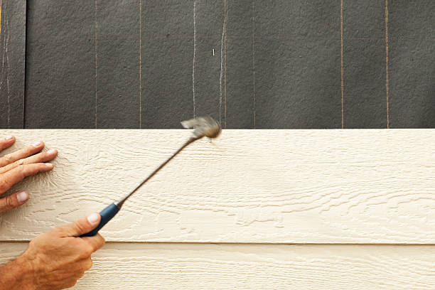 Best Steel Siding Installation  in Port Lavaca, TX